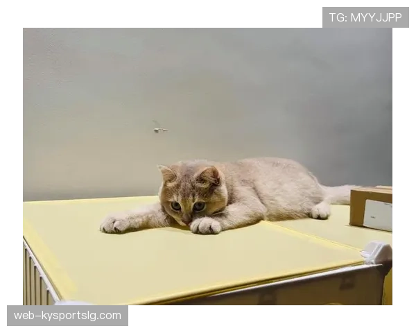 史梦瑶训练完随手啃蛋白棒的样子，真当自己是铁打的？